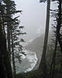 Oregon Coast Trail - by Jody